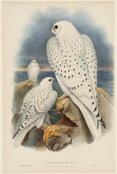  - John Gould