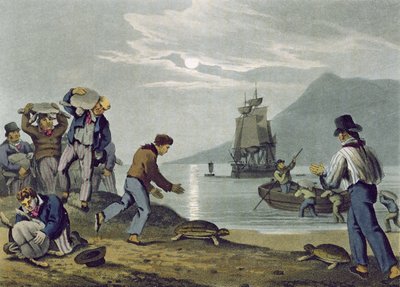 Capture de Tortues sur Terre, gravé par Matthew Dubourg, publié par Edward Orme, 1813 - John Heaviside Clark
