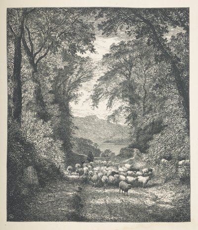 Moutons conduits par un berger, le long d