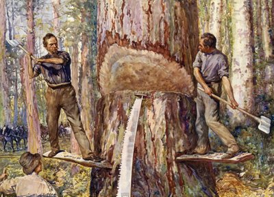 Bûcherons coupant du bois - John Henry Frederick (after) Bacon