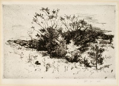 Paysage près de Cincinnati - John Henry Twachtman