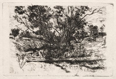 Près de Cincinnati, Ohio - John Henry Twachtman