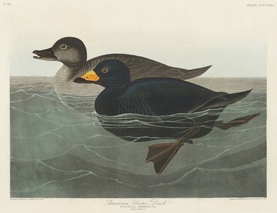  - John James Audubon