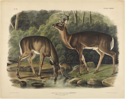  - John James Audubon