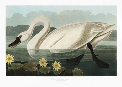  - John James Audubon