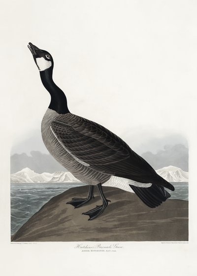  - John James Audubon