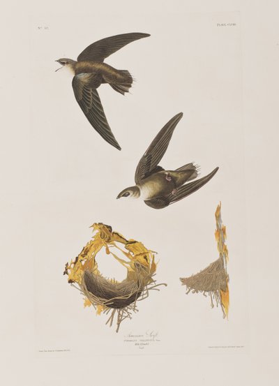 Illustration de 