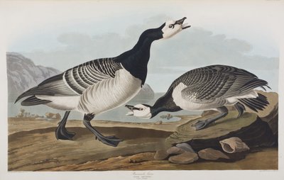 Illustration de 