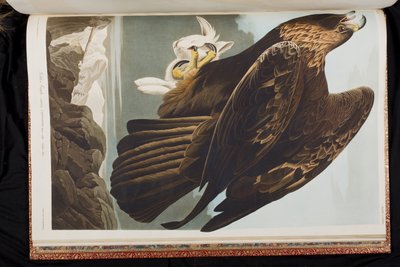Illustration de 