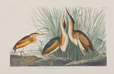 Illustration de 