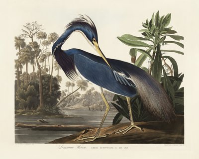  - John James Audubon