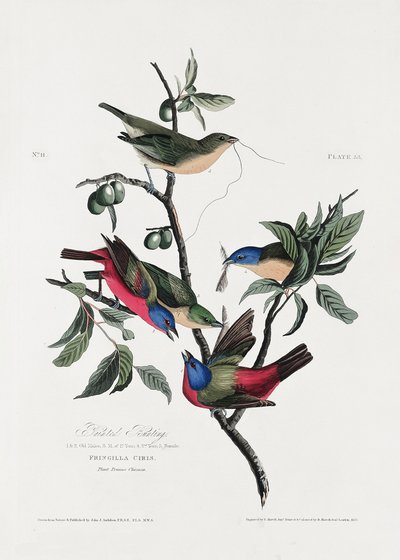  - John James Audubon