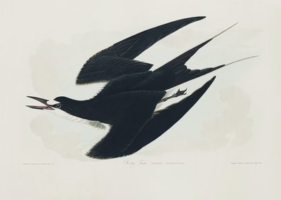  - John James Audubon