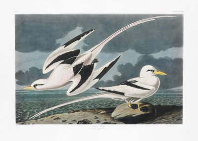  - John James Audubon
