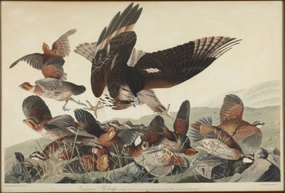  - John James Audubon