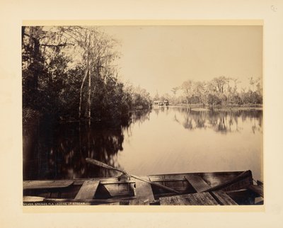 Silver Springs, Floride, vue vers l