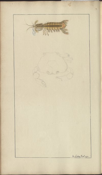 Dessins de Lindsay Vol. VII, 24 - John Lindsay