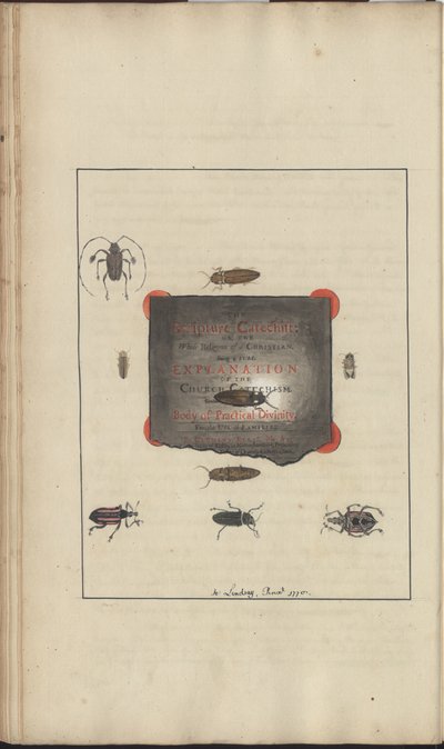 Dessins de Lindsay Vol. VI, 95 - John Lindsay
