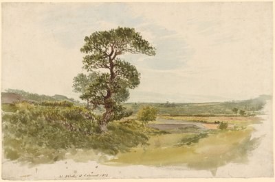 Un paysage dans le Snowdonia avec un arbre au premier plan - John Linnell