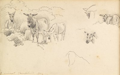 Ânes, 1824 - John Linnell