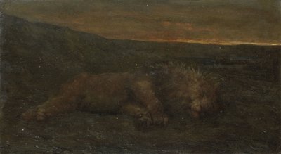 Lion dormant la nuit - John Macallan Swan