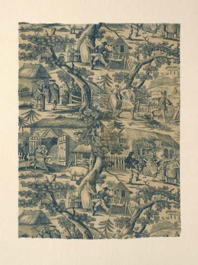 Fragment (tissu d