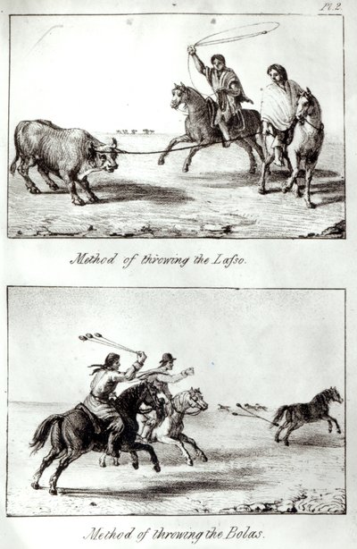 Méthodes de lancer le lasso et les bolas, de 
