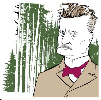 Jean Sibelius sur fond de forêts finlandaises - John Minnion