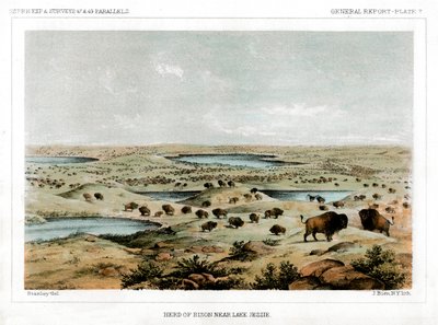 Troupeau de bisons près du lac Jessie, Dakota du Nord, USA, 1856 - John Mix Stanley