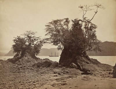 Îles dans la baie de Limón, 1871 - John Moran