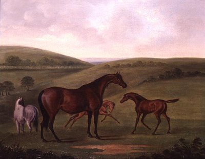 Jument avec poulains dans un paysage - John Nott Sartorius