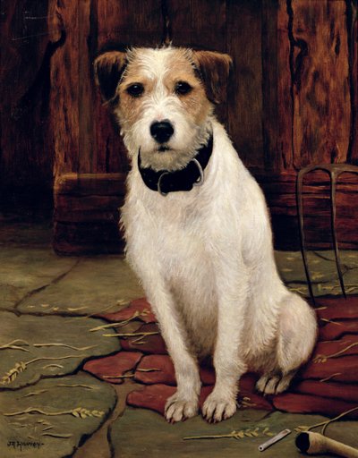 Portrait de Terrier - John Rabone Harvey