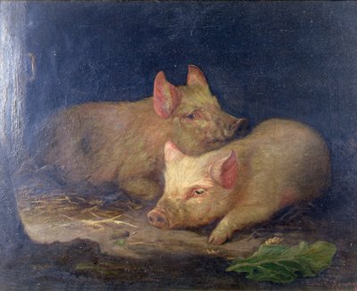 Deux cochons primés à l