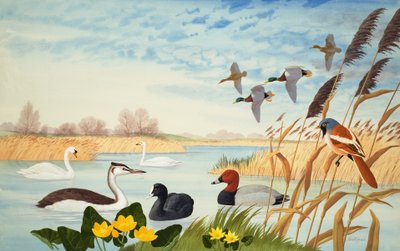 Scène de nature (gouache sur papier) - John Rignall