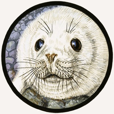 Notre ami le phoque - John Rignall