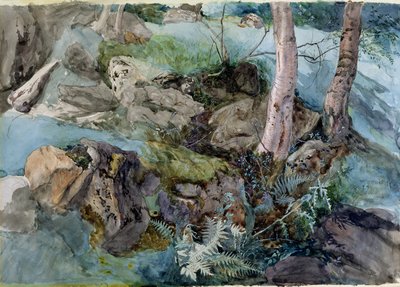 Étude de rochers et de fougères dans un bois à Crossmount, Perthshire, 1843 - John Ruskin