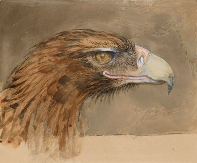 La tête d