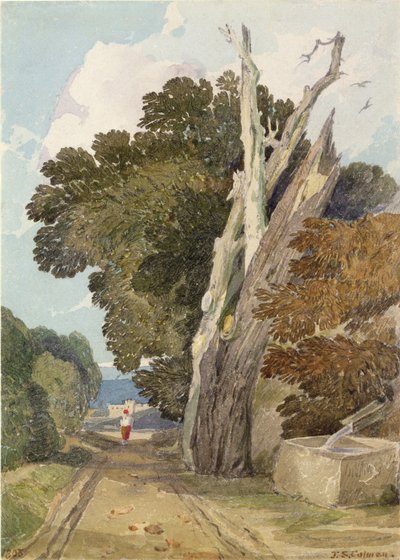 Un châtaignier espagnol frappé par la foudre - John Sell Cotman