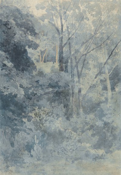 Dans le parc de Rokeby - John Sell Cotman