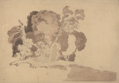 Étude des arbres - John Sell Cotman