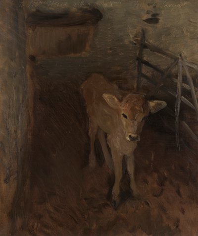 Un Veau de Jersey - John Singer Sargent