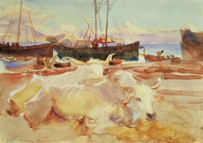 Bœufs sur la plage à Baia, c.1908 - John Singer Sargent