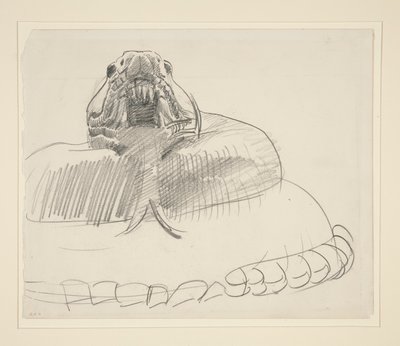 Serpent à sonnette - John Singer Sargent