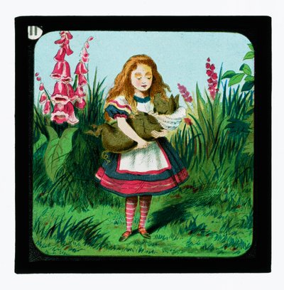 Alice au pays des merveilles, diapositives colorées - John Tenniel