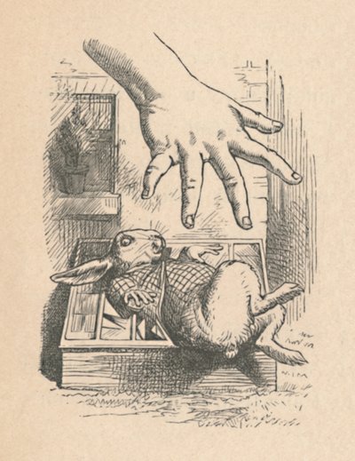 Alice mettant sa main vers le Lapin Blanc, 1889 - John Tenniel