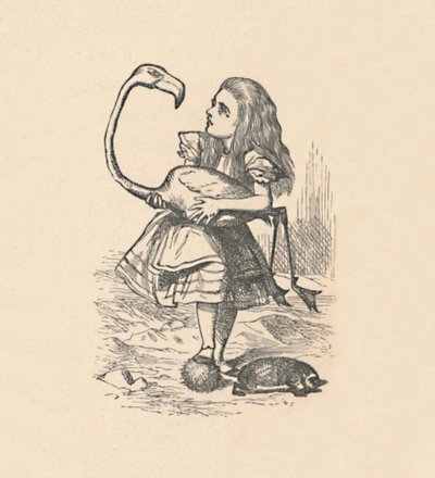 Alice essaie de jouer au croquet avec un flamant rose comme maillet, 1889 - John Tenniel
