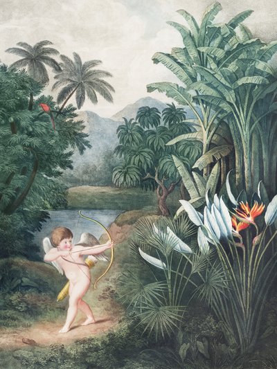 « Cupidon inspirant les plantes par l
