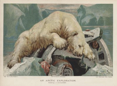 Une exploration arctique : un ours polaire enquêtant sur des objets d