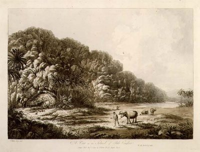 Une vue de l
