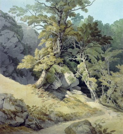 Canonteign, Devon - John White Abbott